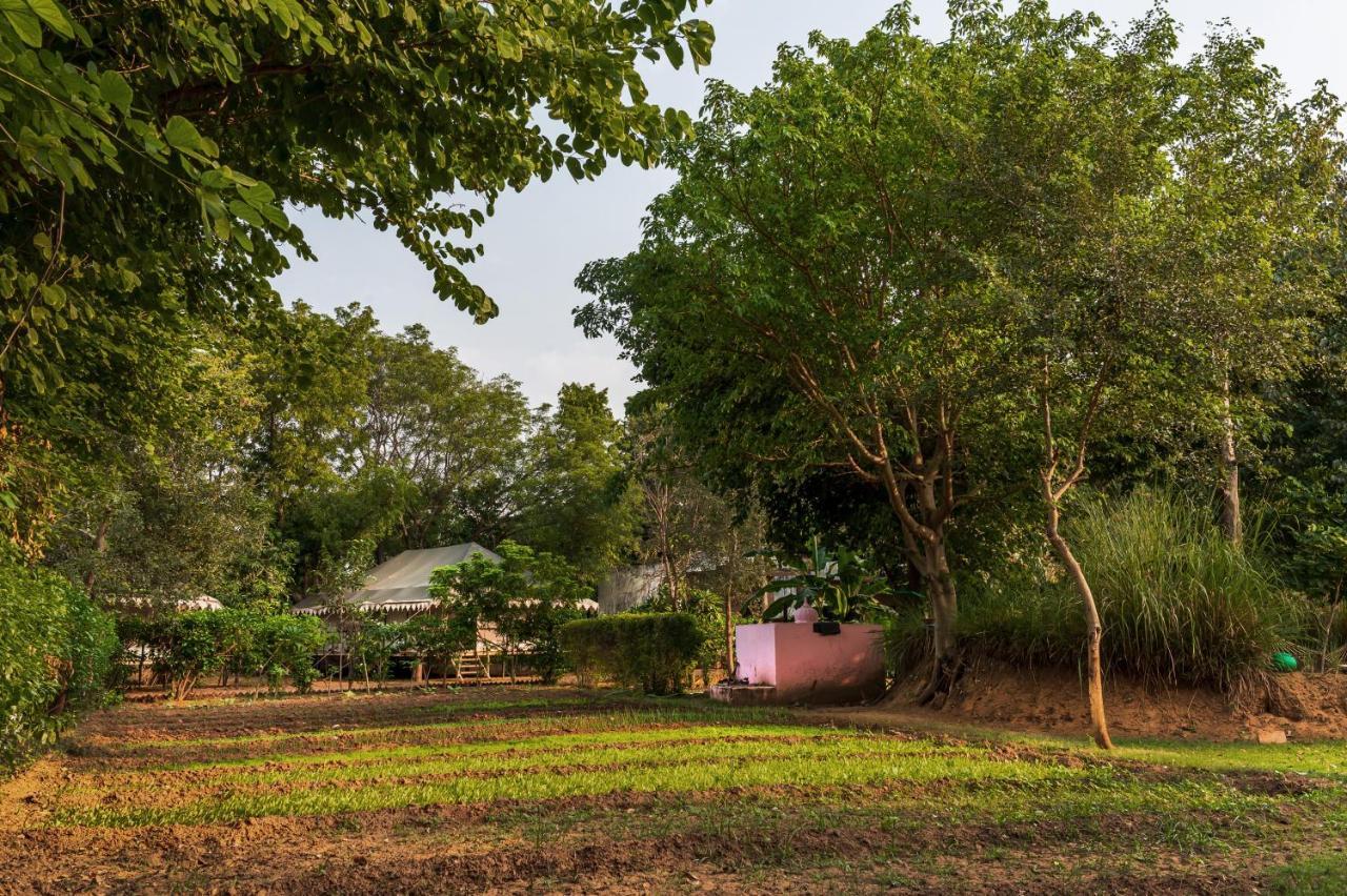 Tiger Machan Sawai Madhopur Buitenkant foto